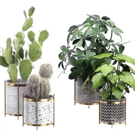 Interior flower pack cactus part